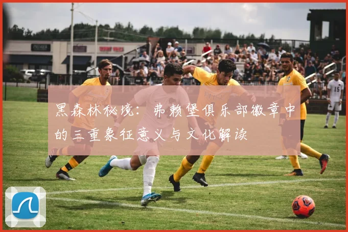 黑森林秘境：弗赖堡俱乐部徽章中的三重象征意义与文化解读