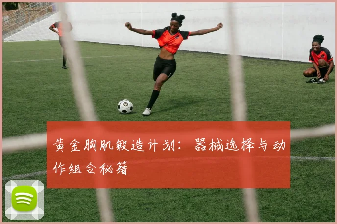 黄金胸肌锻造计划：器械选择与动作组合秘籍