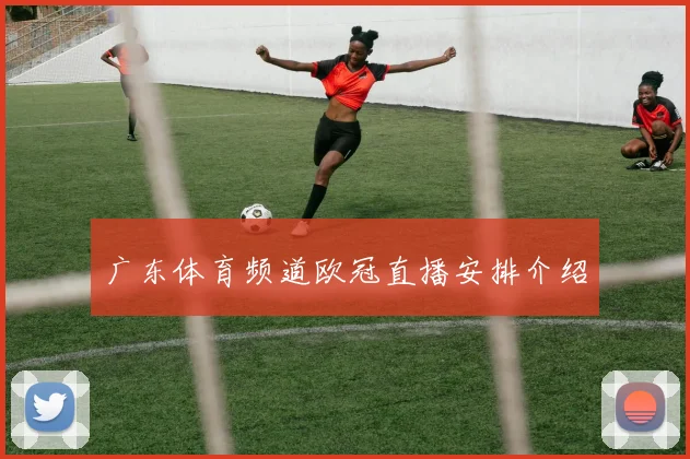 广东体育频道欧冠直播安排介绍