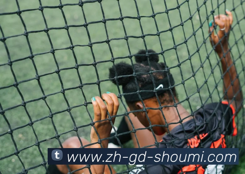 收米体育直播平台生态图